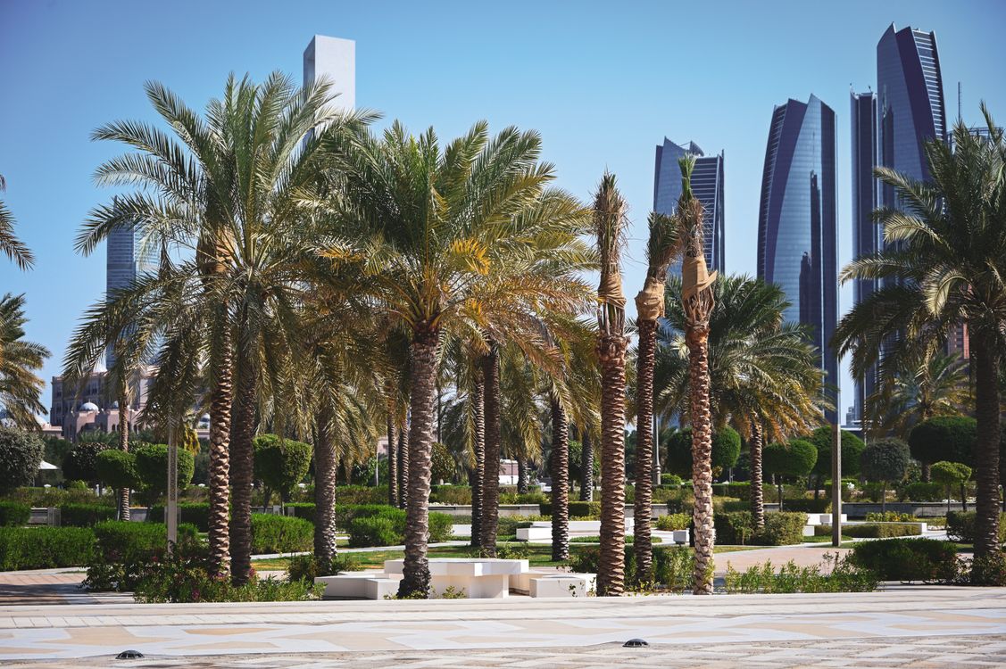 Cleveland Clinic Abu Dhabi healthcare - healthcare ORM UAE